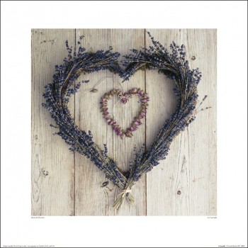 Howard Shooter (La Lavende)