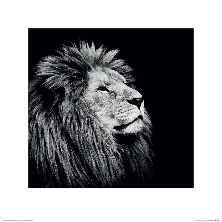 Nicolas Evariste (Majesty)