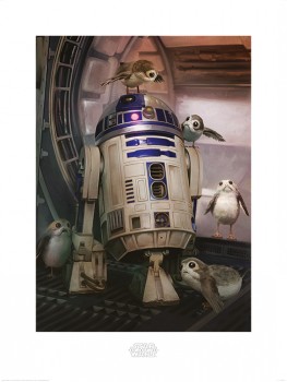 Star Wars The Last Jedi (R2-D2 & Porgs)